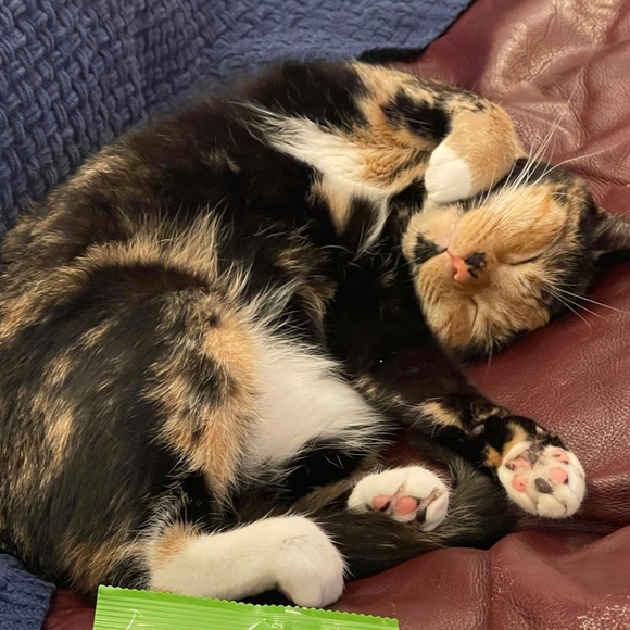 Meet your Posher, Ashley - Picture 1 of 1